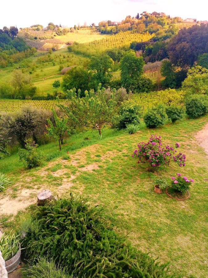 Il Palagione Villa San Gimignano Eksteriør billede
